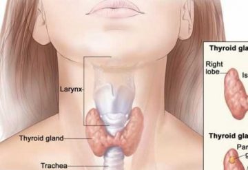 Ето по тези неща можете веднага да хванете дали ви работи правилно щитовидната жлеза