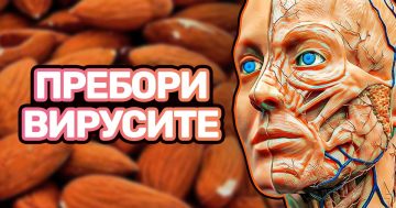 10 храни за силен имунитет