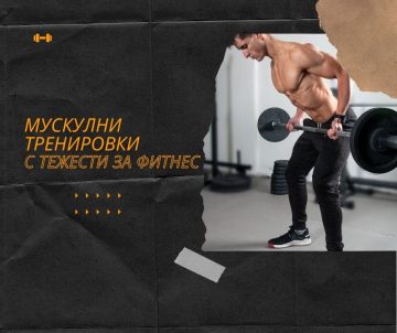 Мускулни тренировки с тежести за фитнес – Блог