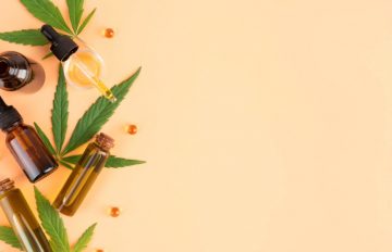 CBD и ендометриоза – myPR.bg – прес съобщения и PR новини