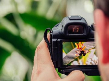 Избор на безогледален фотоапарат: С какво се отличава този вид съвременна техника