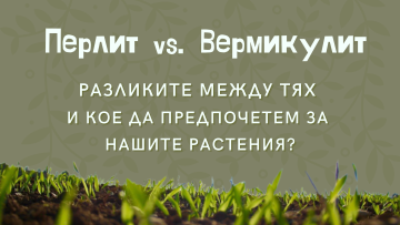 Перлит и Вермикулит: каква е разликата и кое да изберем за растенията ни? – GrowMall