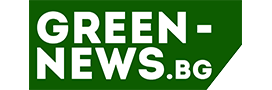 10 Креативни идеи за декорация на дома с цветя | Green News